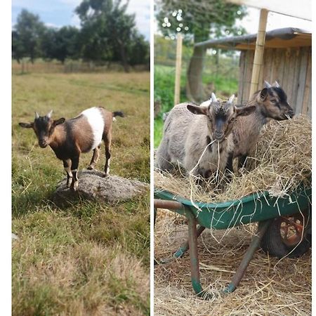 Le Domaine De La Petite Chevre Villa Ploumagoar ภายนอก รูปภาพ